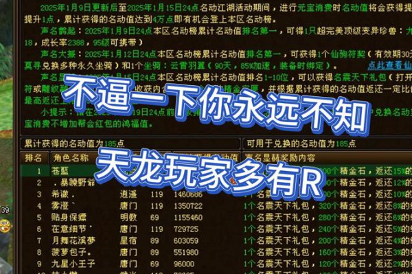 天龙私服发布网的风险与资源多样性：玩家如何理智选择游戏版本